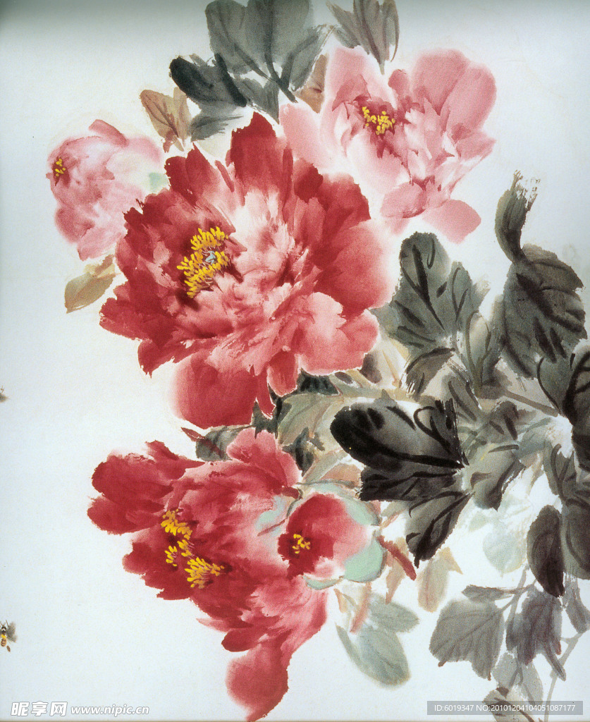 国画 水墨画 水彩 牡丹