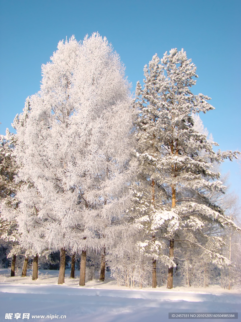冬季雪景