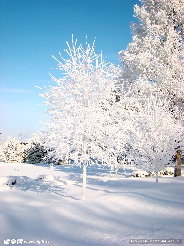 冬天雪景
