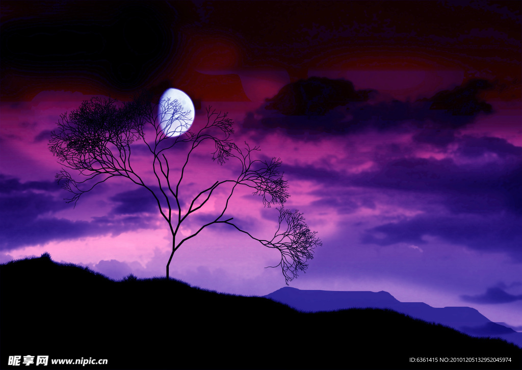 紫色月光