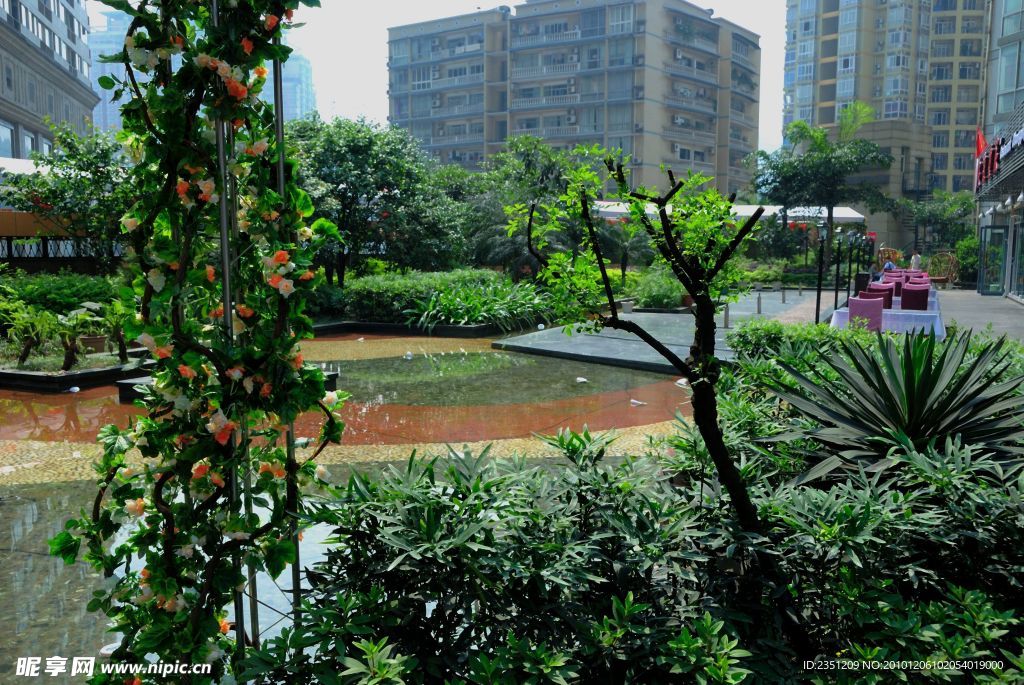 室外水池