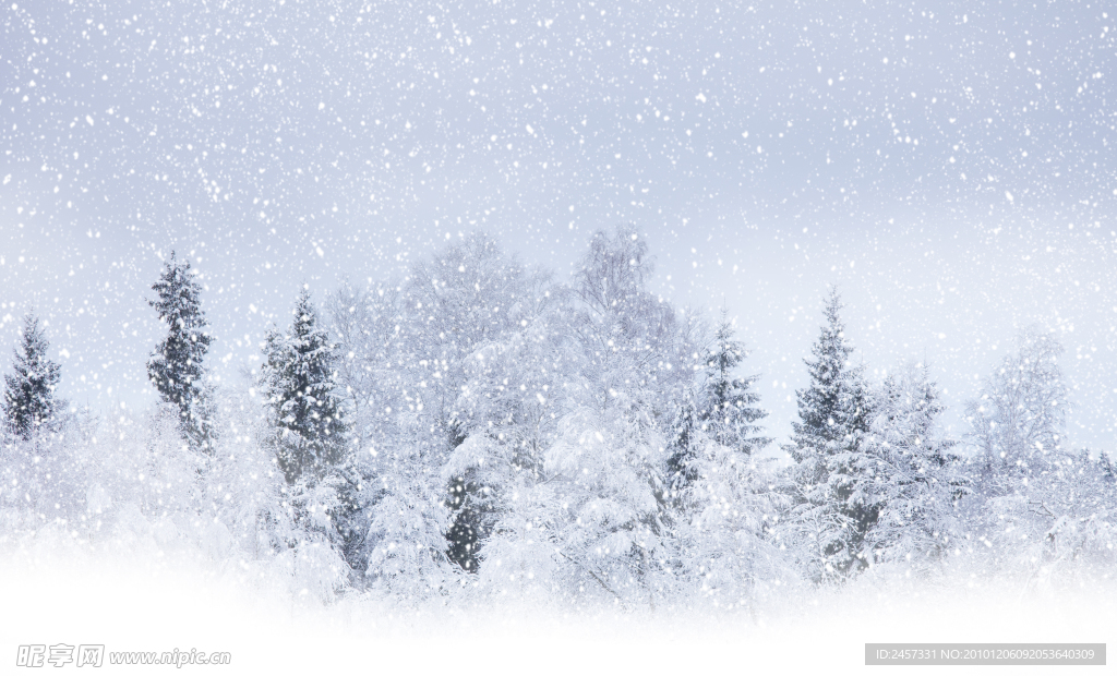 冬季雪景