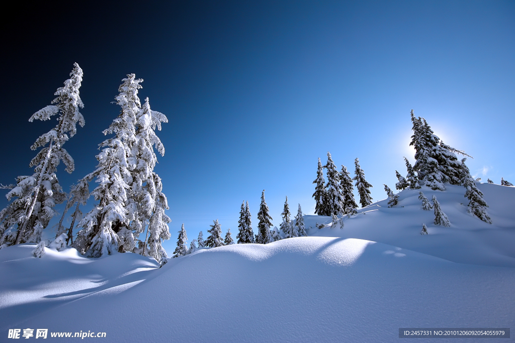 冬季雪景