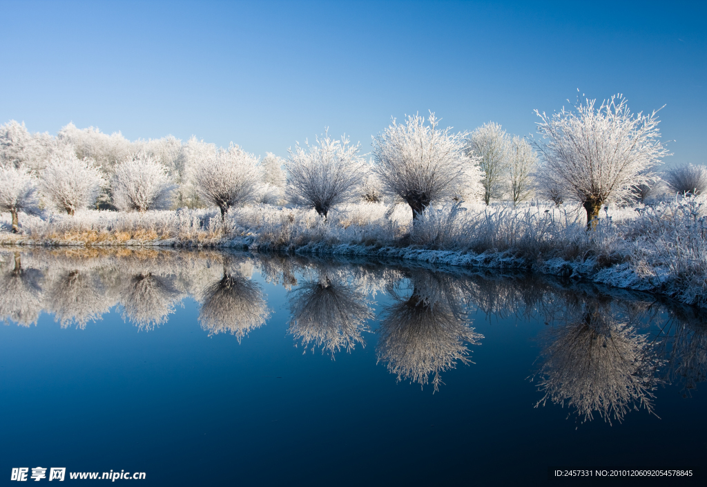 冬季湖边树木雪景