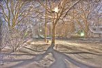 雪景