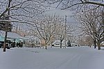 雪景