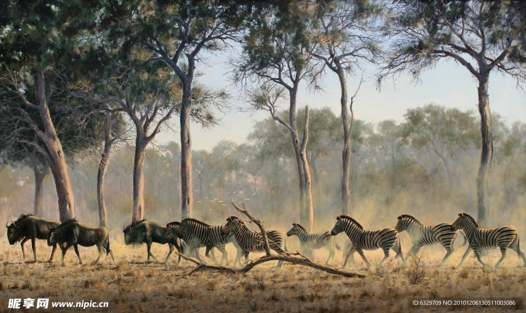 油画迁徙的斑马