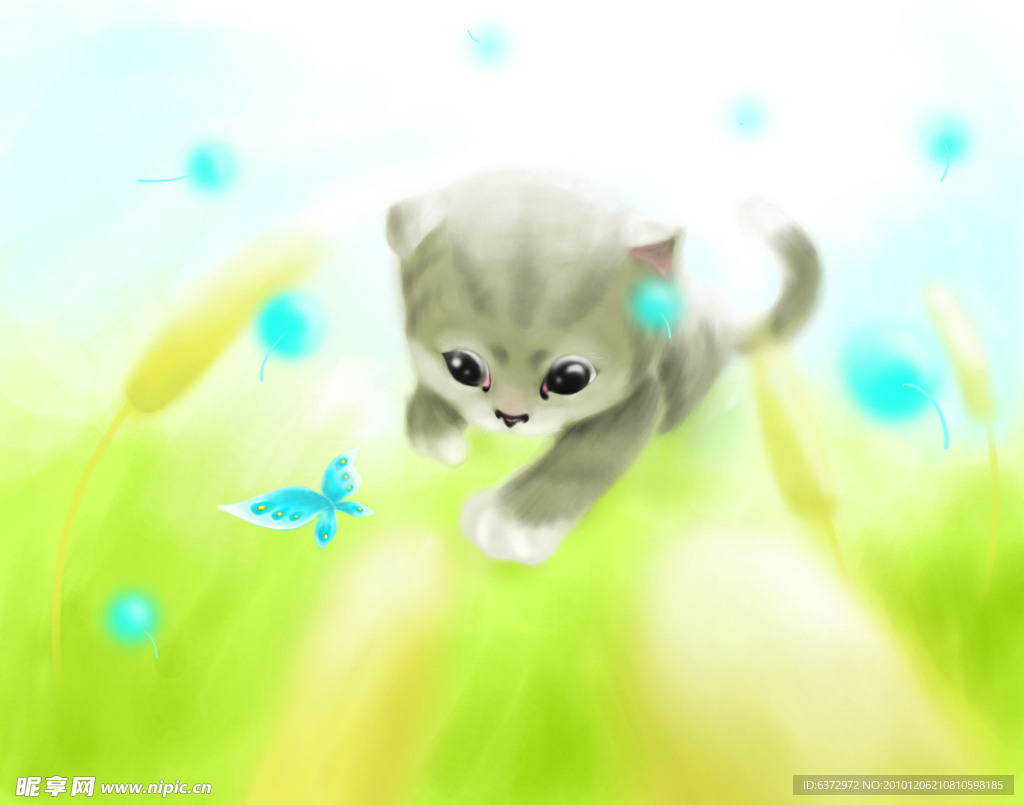 小猫