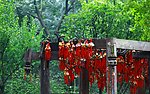 成都景观 中国结