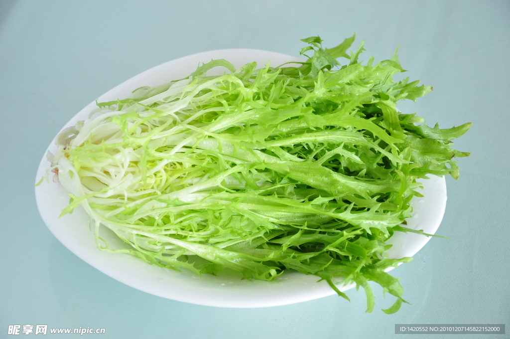 苦菜