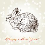 2011新年主题矢量素材