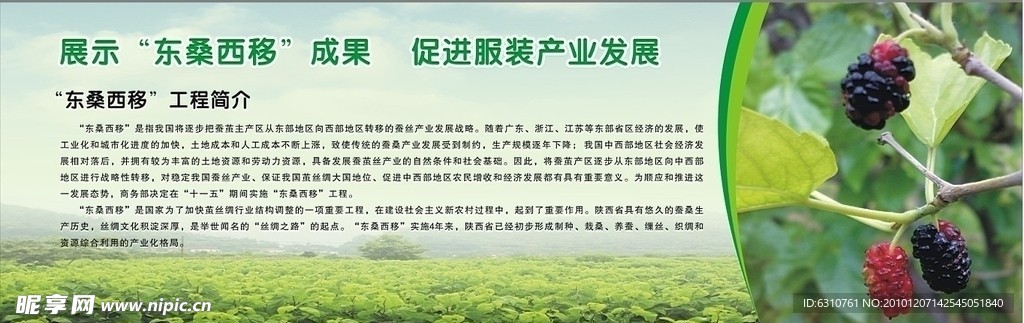 东桑西移