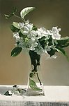 油画玻璃花瓶