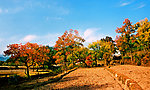 罗田大别山田园风光