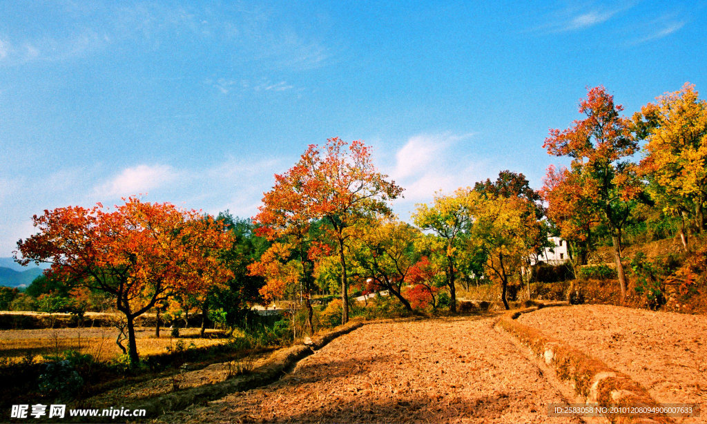 罗田大别山田园风光