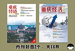 政府内刊封面