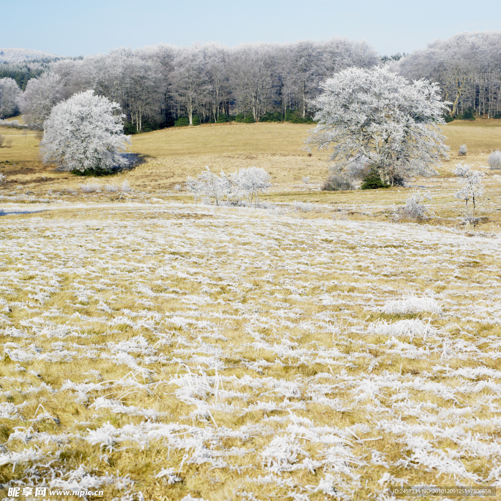 冬季雪景