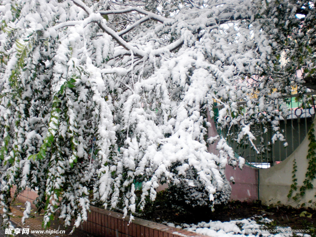雪景