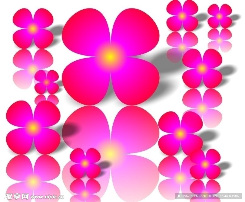 花与影