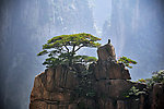 黄山