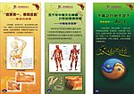 桑拿理疗沐足展板