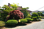 日本民居花园