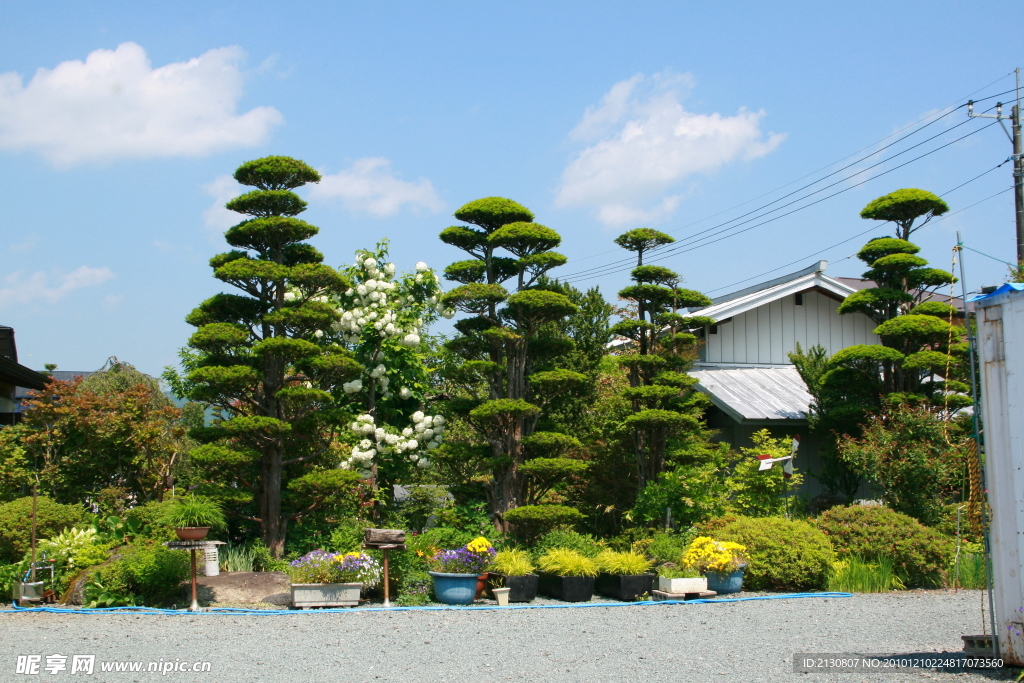 日本民居花园