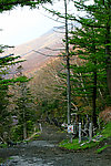 入山小径