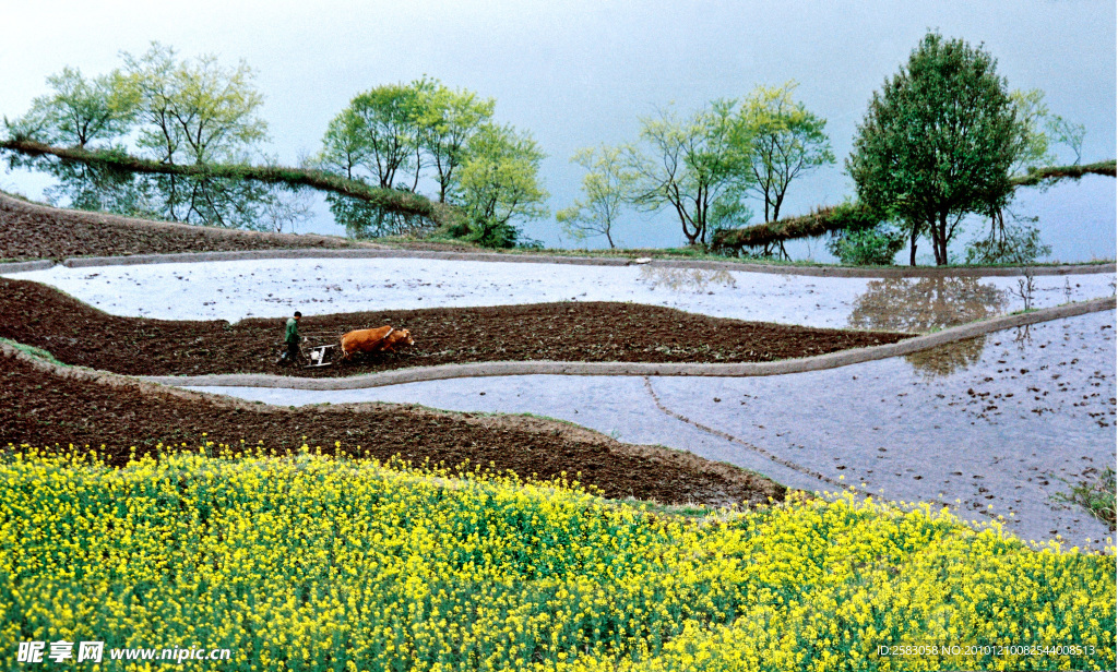 田园山水早春二月