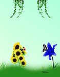 蝶恋花
