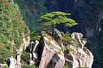 黄山