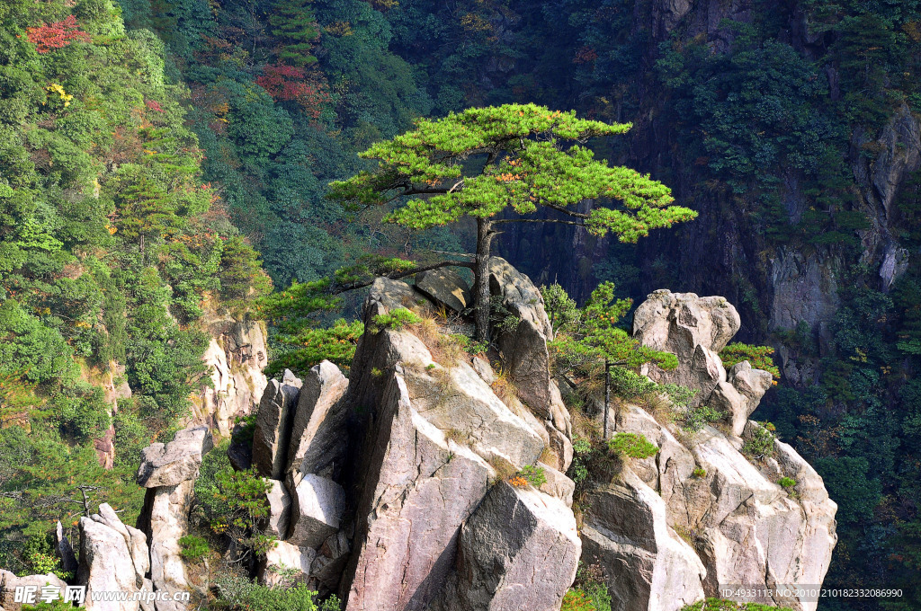 黄山