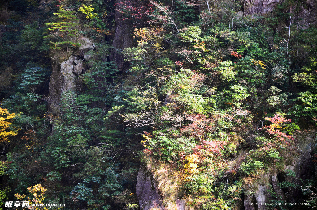 黄山秋色