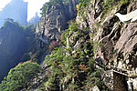 黄山险道