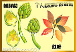 手绘植物素材