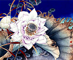 干瓣莲