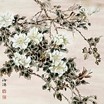 金樱子