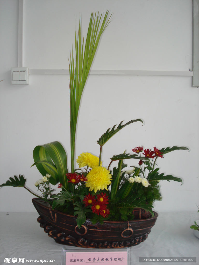 菊花