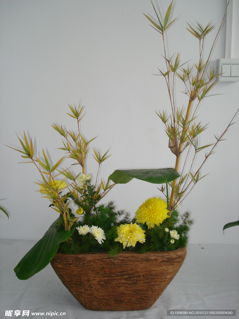 花草