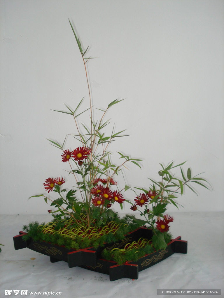 花草