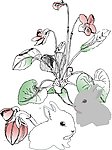 小兔子 植物