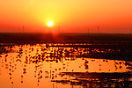 夕阳西下