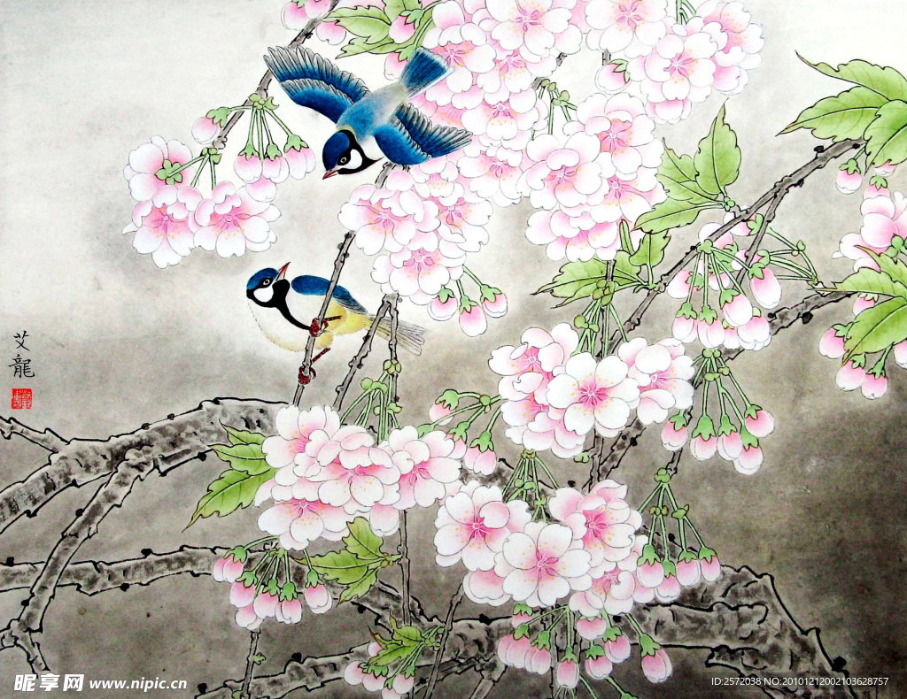 樱花小鸟图