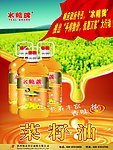 菜籽油海报