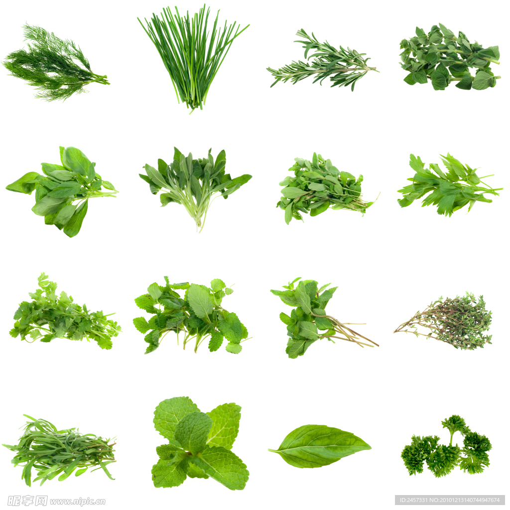 绿色野菜