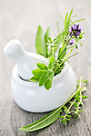 绿色草药