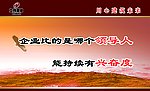 立伟国际 企业文化