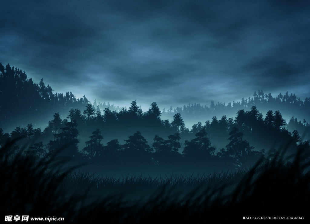 高清森林夜景