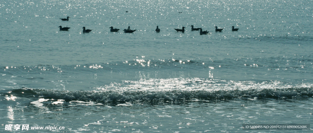 大海浪花