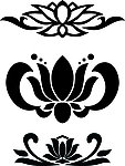 日本莲花